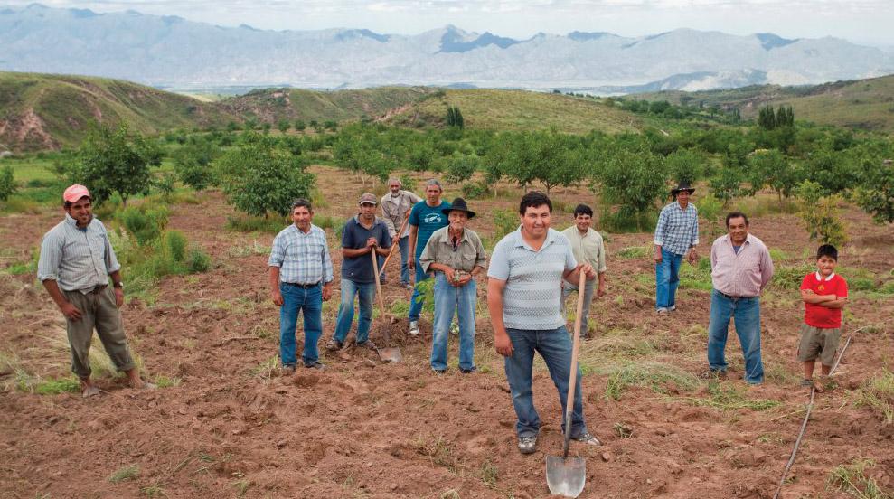 Minería, la herramienta para diversificar y complementar economías regionales