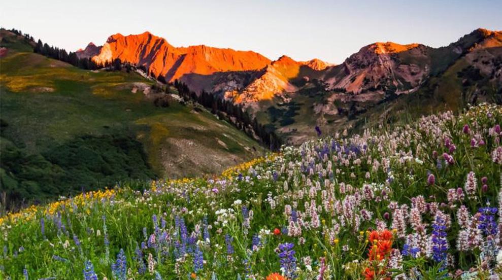 66th Annual Rocky Mountain Mineral Law Institute