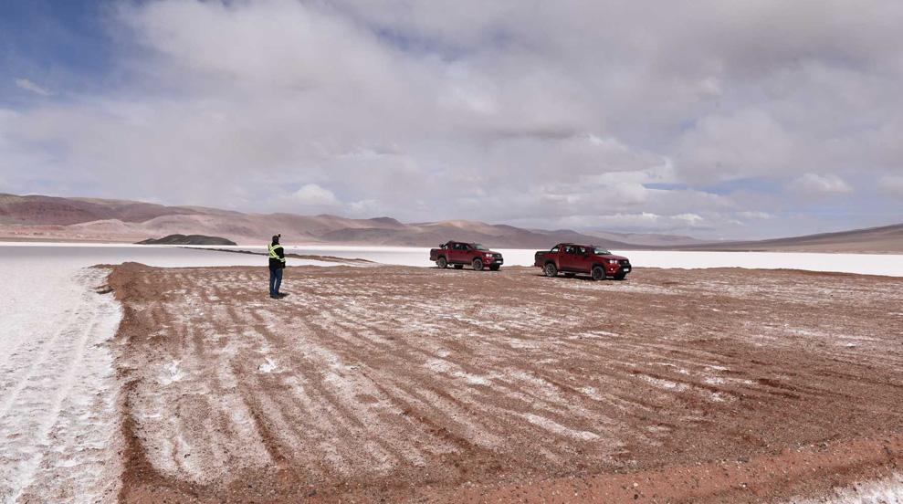 Una nueva empresa explorará en Salta: Alpha Lithium adquiere el proyecto Tolillar