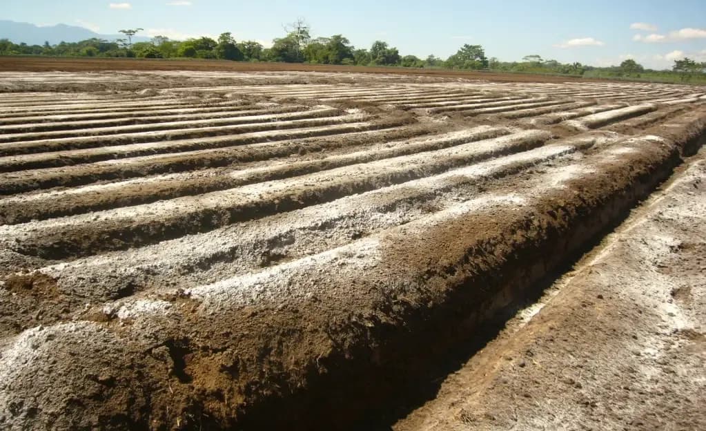 Argentina’s Non-Metallic Mining Sees Untapped Opportunity in Soil Remineralization Market