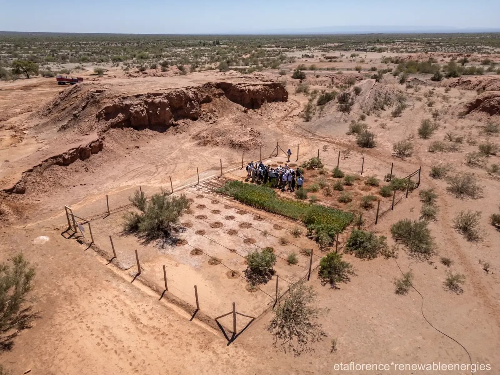 Phytoremediation with native Species: a scientific Response to a historical environmental Liability in Caucete