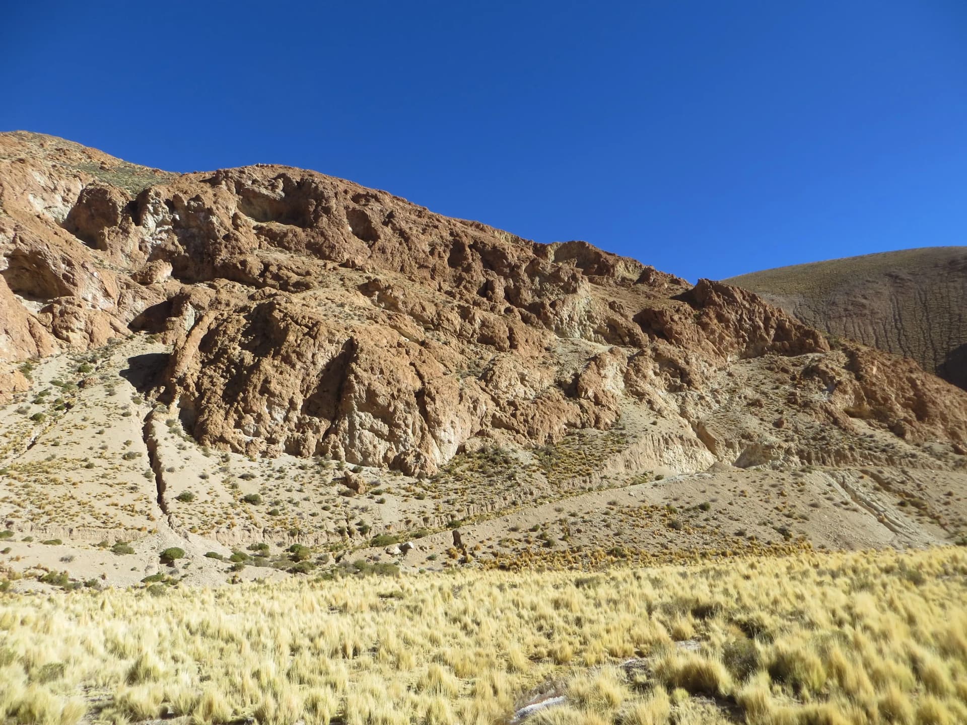 Organullo Project: Latin Metals accelerates its Search for new Partners