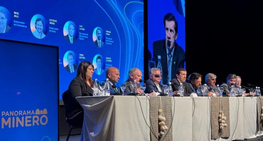Imagen ilustrativa para la noticia: Litio en Sudamérica 2024: El mineral de la transición energética se consolida en la agenda de desarrollo nacional y convoca a más de 1.500 personas en Jujuy | Panorama Minero