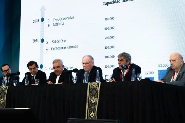 Illustrative image for the news: Lucero: “There Is a Pending Issue With Lithium Export Duties” | Panorama Minero