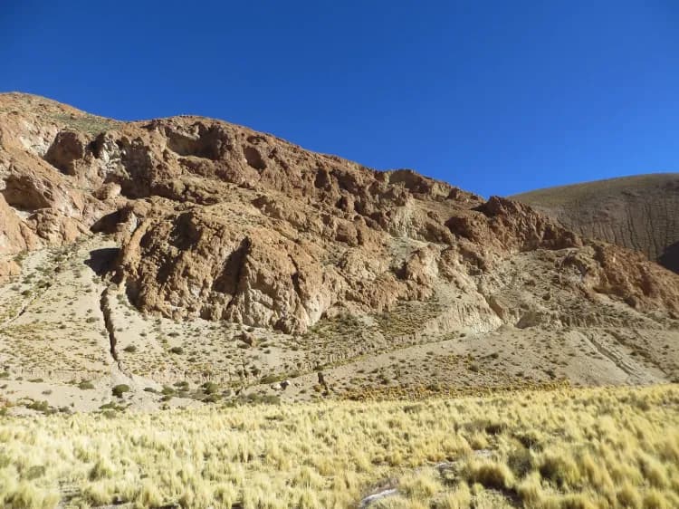 Illustrative image for the news: Latin Metals Secures Drill Permit for Organullo Project | Panorama Minero