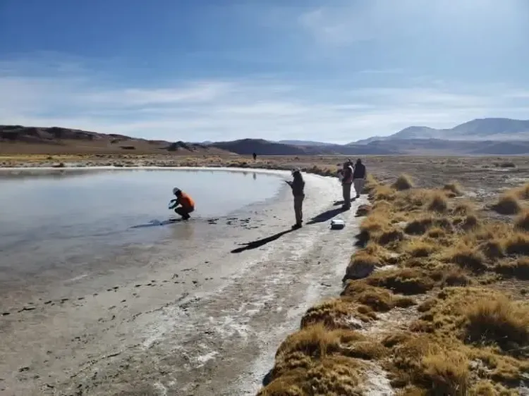 Imagen ilustrativa para la noticia: Expectativas para el litio: Catamarca, a un paso de levantar la cautelar que paralizó nuevos proyectos | Panorama Minero