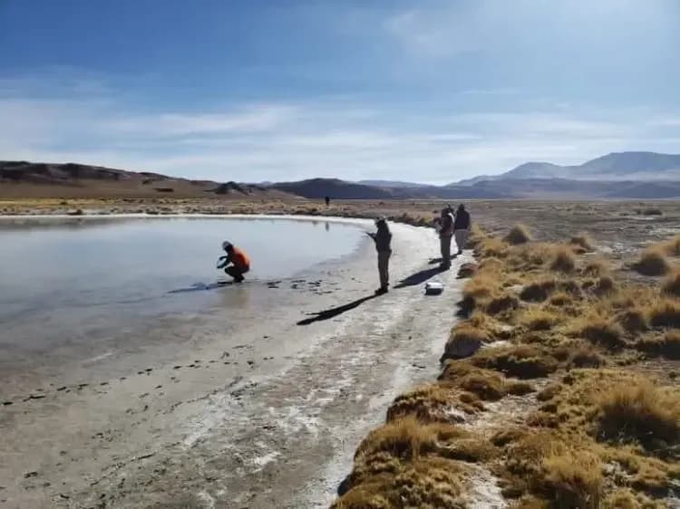 Imagen ilustrativa para la noticia: Expectativas para el litio: Catamarca, a un paso de levantar la cautelar que paralizó nuevos proyectos | Panorama Minero