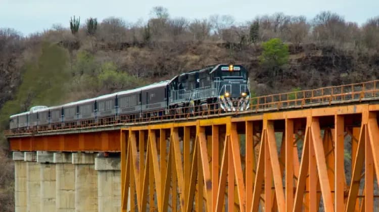 Illustrative image for the news: Grupo México: Mining and Transportation in a Single Company | Panorama Minero