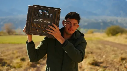 Illustrative image for the news: Francisco Castillo, the peanut pioneer in San Juan | Panorama Minero