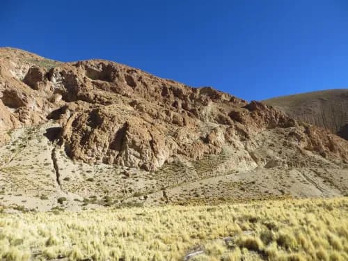 Illustrative image for the news: Latin Metals Secures Drill Permit for Organullo Project | Panorama Minero