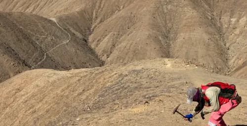 Imagen ilustrativa para la noticia: Latin Metals acuerda con Daura Gold el avance de dos proyectos en Santa Cruz | Panorama Minero