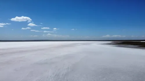 Imagen ilustrativa para la noticia: Salinas del Diamante y la posibilidad de avance del litio en Mendoza | Panorama Minero