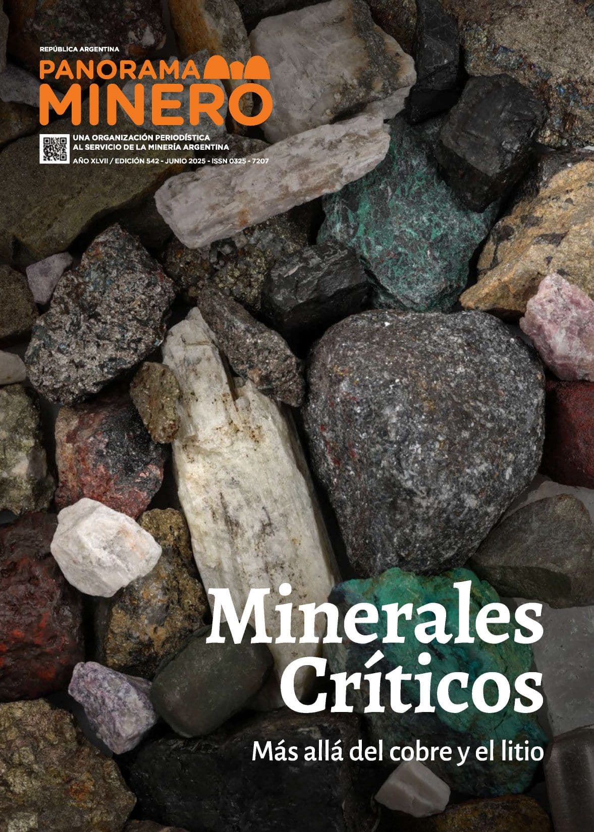 Edición 542 - Junio 2025