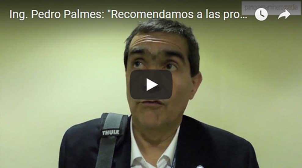 Imagen ilustrativa para la noticia: VIDEO | Ing. Pedro Palmes: «Recomendamos a las provincias el FOFESO» | Panorama Minero