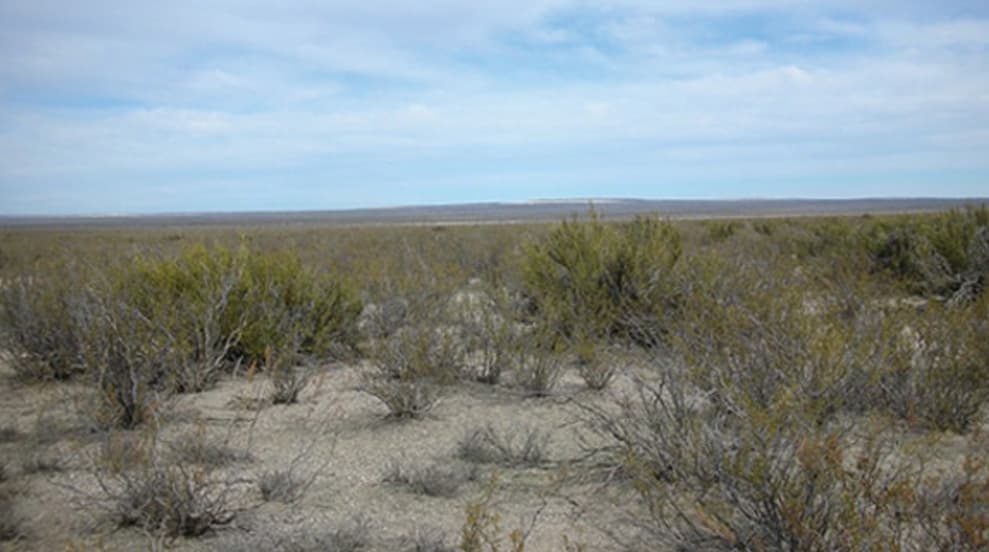 Amarillo Grande: Blue Sky Uranium lanza un programa integral de perforación y estudios de ingeniería