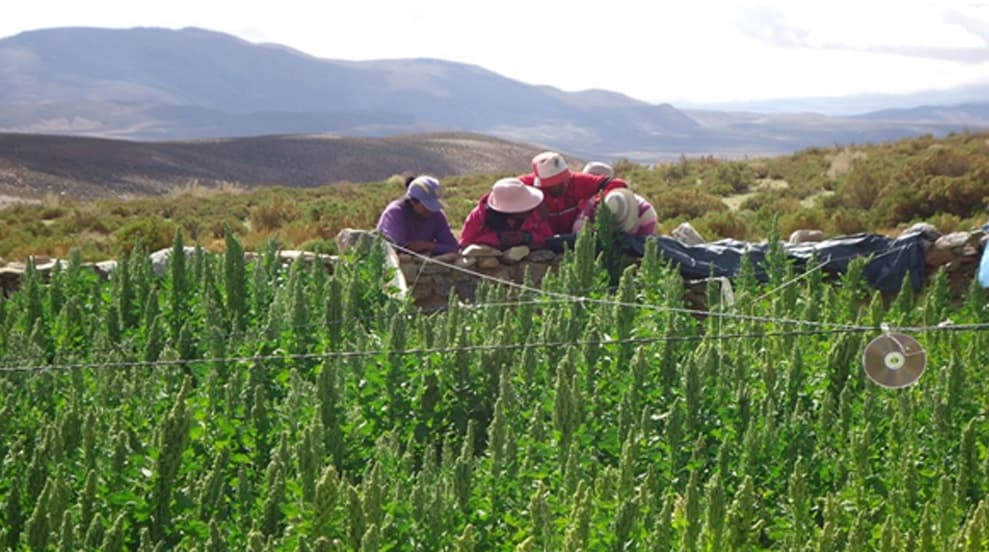 Eramine realizó donaciones a la comunidad de Santa Rosa de los Pastos Grandes