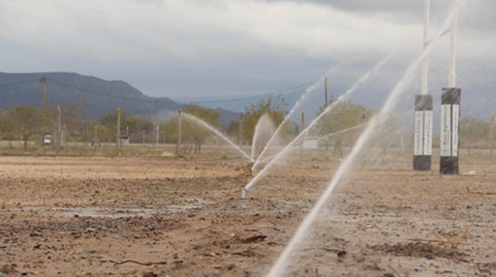 Con el apoyo de Minas Argentinas, la cancha del Cóndor Rugby Club ya tiene sistema de riego por aspersión