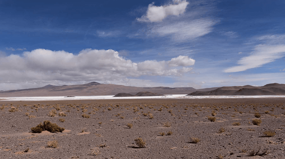 <strong>Litio: Alpha Lithium designa a Ausenco y comenzará PEA para una planta de carbonato en Salta</strong>