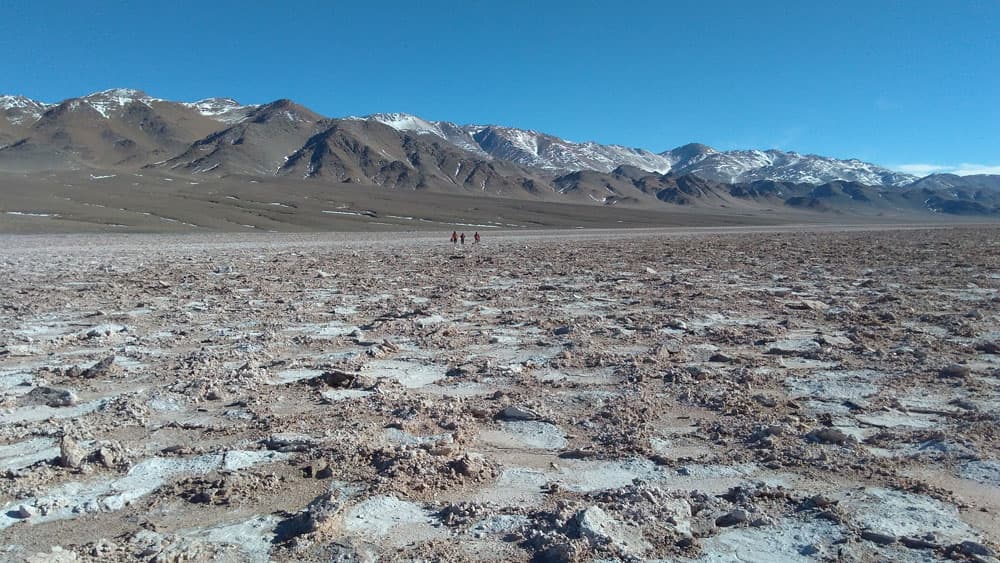 Litio: Argentina Lithium anunció que acelerará sus planes de exploración en el país